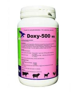 DOXY 500 ws (1kg) holland_dùng trong thú y