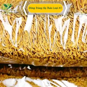 Đông Trùng Hạ Thảo 1Kg Sấy Khô Sợi To Ngon Hàng Cao Cấp Tăng Cường Thể Lực Tại Thảo Mộc Gama