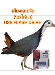 เสียงนกกวัก USB FLASH DRIVE 2GB