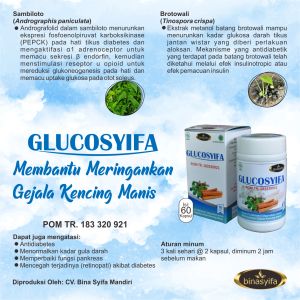 GLUCOSYIFA Obat Diabetes Menormalkan Gula Darah / Kencing Manis