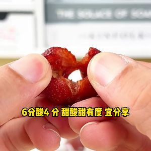Hawthorn 250g500g Hawthorn Ball and Fruit Snack 山楂无添加剂无核山楂球果脯蜜饯去核山楂干山楂零食