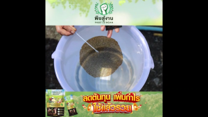 (1 แพค) พืชสู้งาน สารเพิ่มประสิทธิภาพสำหรับดินและพืช 3in1 ฟื้นฟูดิน บำรุงใบและผล ช่วยให้พืชสมบูรณ์ ปลอดสารเคมี ชนิดผง (MV Mall Outlet)