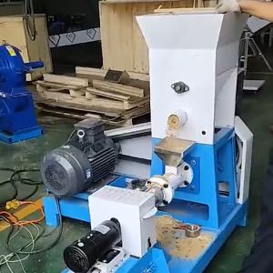 Heavy Duty Fish Pellet Extruder Machine Mesin Buat Makanan Ikan Terapung Burung Food Pellet Mesin Pellet Apung