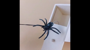 Fun Scare Wooden Spider Box Toys Multi-Purpose Funny Pranks Surprise Spider Box Atmosphere Toys Realistic Prank Toy
