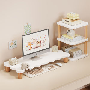 Monitor Riser Desktop Organizing Stand