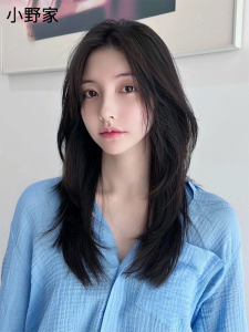 Natural Looking Womens Wig Medium Length Hair Bangs Asymmetrical Full Head Cover Real Hair Straight Long Hair Fake Hair