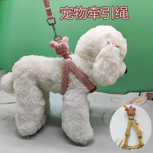 เสื้อกั๊กผูกเชือกเดินสำหรับสุนัขขนาดกลางและเล็ก สายรัดคอแบบสวมหัวสำหรับชิสุ เบอร์มูด้า ปอ ทาร์ตี้ สายรัดคอแบบสวมหน้าอกสำหรับสุนัข