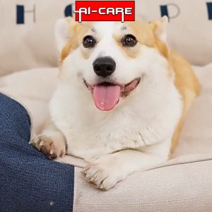 (Ready Stock) XXL Size Super Comfy And Soft Pet Bed For Dogs and Cat Bed Super Large Size Warm Bed for Pet