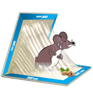 ดักหนู กาว เหนียว กาวดักหนู ติดทน พร้อมส่งจากไทย