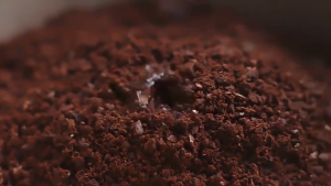 ELECTROLUX เครื่องชงกาแฟ (1000 วัตต์) รุ่น YMCM1