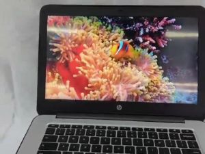 MURAH WINDOW 10 PRO  HP LAPTOP 11.6INC KERJA RUMAH ALL CAN USE || MS OFFICE PRO