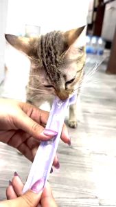 YTL ขนมเเมวเลีย 16g ขนมแมว อาหารแมว ขนมแมวเลีย​ แมวเลีย อาหารแมวเลีย ขนมทาสแมว แสนอร่อย รสชาติอร่อยถูกใจน้องแมว