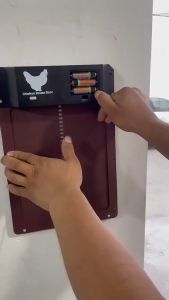 Cửa Lùa Gà Tự Động Đóng Mở Automatic Chicken House Door ⚜️Home and Garden⚜️