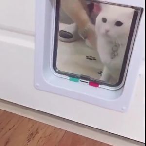 กันแอร์ออก สีขาว ประตูแมว ประตูเสริมสำหรับสุนัขขนาดเล็ก ใช้ในบ้าน สะดวกติดตั้งง่าย ประตูพลิกแมว ประตูสัตว์เลี้ยง ติดตั้งแบบฝึกหัด Cat door