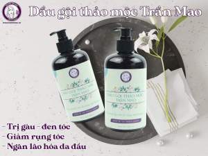 Dầu gội thảo mộc Trần Mao 500ml - ngăn rụng tóc - mọc tóc sau 1 tuần sử dụng