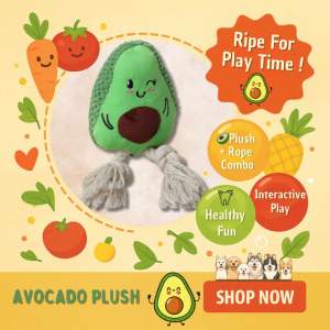 【PLAY TIME🐾】Avocado Dog Plush Toy – Cute | Plush & Rope Combo with Squeaker | Durable Tug & Chew Toy for Interactive Play & Cuddles | Tug Chew Fetch & Snuggle | Fruity Toy