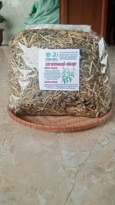 100g cây xương khỉ sấy khô