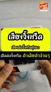 ร้านโชคดี999 เสียงต่อจิ้งหรีด เสียงล่อจิ้งหรีด แฟลชไดร์ฟ USB ความยาว 10 ชม. เปิดถึงเช้า เสียงจิ้งหรีด เสียงดังฟังชัด เสียงดังฟังชัด100%