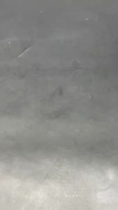 Giày thể thao cầu lông bóng chuyền chạy bộ Wika Maru hàng chuẩn Việt Nam êm chân form đẹp