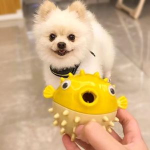 Bite Resistant Dental Dog Toy Fun Self Entertaining Noise Making Ball for Medium to Large Breeds like Bichon Puppy Chew Toy