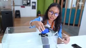 AQUAMAN WP 1600L - Internal Filter Air Aquarium Ikan Aquascape 1600 L