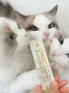 Cat Complete Treats Sticks Colostrum & Cheese【Erone】Immune Support 6 Flavors 12g