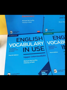 Cambridge English Vocabulary in Use Self Study Tool Book Vocabulary Learning