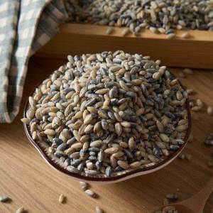 Premium Fresh Naked Barley  Grain