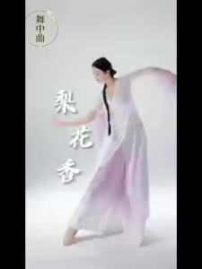 Trang Phục Múa Cổ Điển Thanh Lịch Và Tiên Khí Áo Gạc Trang Phục Múa Trung Quốc Trang Phục Tập Luyện Trang Phục Biểu Diễn Trang Phục Biểu Diễn