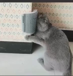 Cat Corner Brush / Cat Self Grooming Brush / Cat Massage Brush / Sikat Kucing