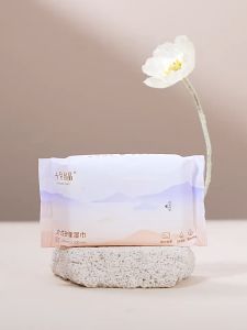 BE A BETTER MOM Feminine Care Wipes 20PCS 💦 十月结晶女性护理湿巾20张 Tisu Basah Penjagaan Intim Wanita Woman Private Part Sanitary Wet Tissue