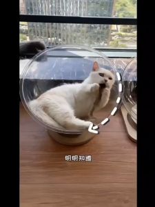 หลุมอวกาศ ที่นอนแมว ที่ลับเล็บแมว คอนโดแมว ลับเล็บแมว บ้านแมว โดมอะคริลิคแมว 4in1 คอนโดแมวอวกาศ 42cm หลุมแมว ที่นอนสัตว์เลี้ยง แคปซูล 4 ใน 1 ที่ขูดแมว แมวหมุนของเล่น หลุมอะคริลิค ที่นอนอวกาศ