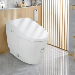 Inductive Warm Water Automatic Flush Toilet