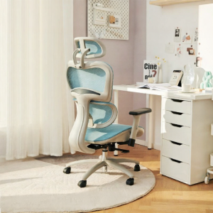 BOJOJAN | Ergonomic Chair for Teenagers and Students