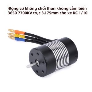 Động Cơ Không Chổi Than Rocket 3650 Dành Cho Xe Đua RC 1/10 Xe Tải 7700KV 5900KV 5200KV 4300KV 3900KV 3500KV 3100KV 2300KV Với Trục 3.175mm