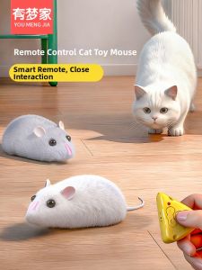 Prank Toy Remote Control Rat
