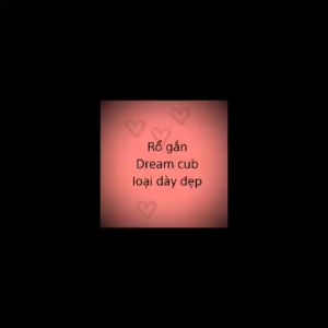 Rổ rỏ rỗ giỏ xe máy dream cub cup 81 82 thái việt