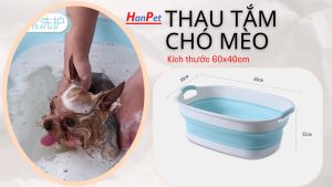 Chậu thau tắm chó mèo GẤP GỌN