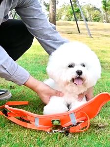 เสื้อรัดอก พร้อมสายจูงสัตว์ว แบบรัดอกสะท้อนแสง ระบายอากาศได้ดีใส่สบาย สินค้าขายดี มีพร้อมส่ง