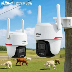 Dahua | Outdoor 360° Night Vision Remote Viewing 4G Security Camera