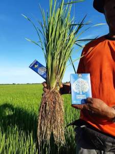 🔥พร้อมส่ง! ส่งไว🔥  ชุดทดลอง โฟรทีร ของแท้ 1 ซอง โฟร์ทรี ของแท้ 4tree โฟร์ทรี ชาวนา เงินล้าน