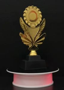 Plastic Trophy BE-SM017 Screw Medal (Hadiah Sukan Sekolah Dan Anugerah Cemerlang) Piala Cenderahati.