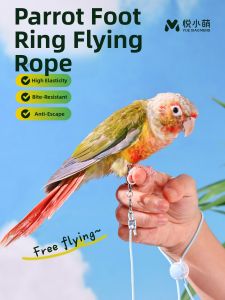 YUEXIAOMENG | Bird Leash For Specific Parrot Species