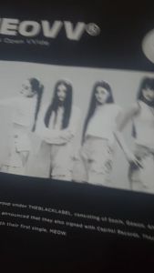 Tshirt MEOVV Kaos Kpop Meovv - Guiltee