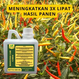 Pupuk Pelebat Cabai: Pupuk Organik & Berkualitas untuk Tanaman Cabai