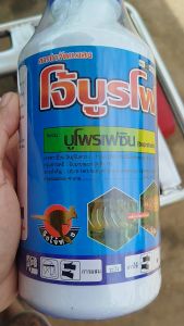 บูโพรเฟซิน 40 % 1 ลิตร 66 ฆ่าตัวอ่อน เพลี้ยกระโดด ช่วยดักจับแมลง คุมไข่แมลง ยับยั้งการลอกคราบแมลง