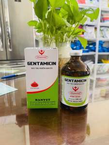 GENTAMICIN (100ml) hanvet_ chỉ dùng trong thú y