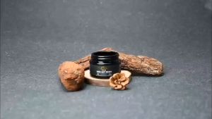 Local Ship Himalayan Shilajit Resin Shilajit Pure Himalayan Organic Shilajit Supplement with Purity High Dosage & Potency for Energy Strength & Immunity Men & Women