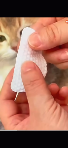 Pet (Cat) Eye Care Wipe/Tissue/Cleaner/Tear Remover