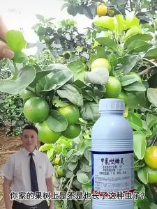 💗🙋‍♀️💗15%甲氰哒螨灵乳油柑橘树抗性红蜘蛛专用杀虫杀螨剂农1000g